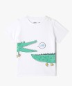 Tee-shirt à manches courtes à motifs animaux bébé garçon (lot de 3)